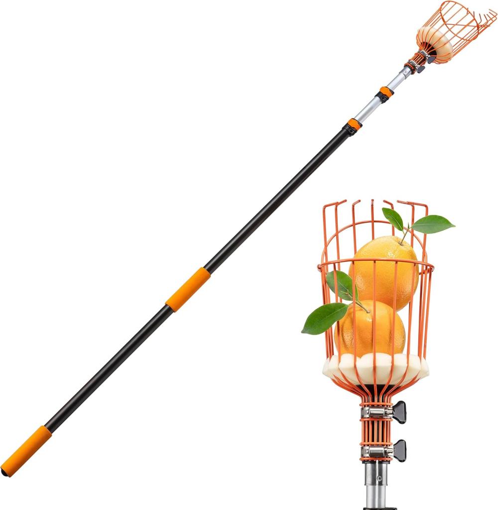 Fruit Picker Pole With Basket Telescoping 5-12 Ft Apple Picker Extension Pole // Telescopic Fruit Tree Picker Tool For Picking Orange Mango Avocado Lemon Pear // The Ultimate High-Reach Fruit Grabber | Gardening Picks Gardening Hand Tools Gardening Picks