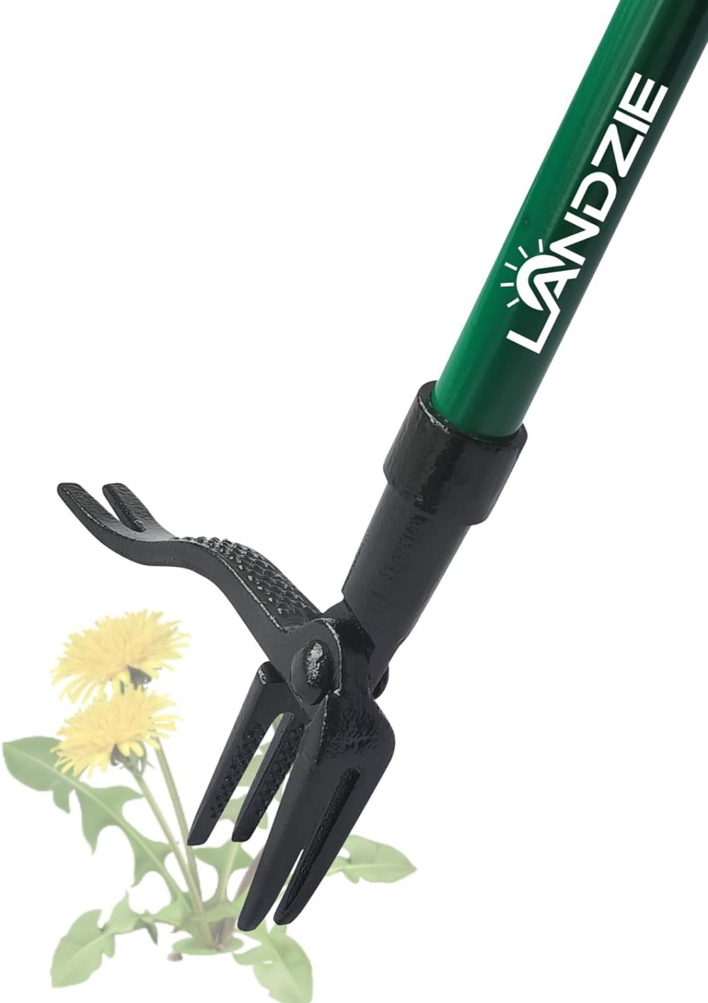 Landzie Weeder – 44 Inch Long Steel Stand Up Manual Weed Remover Tool For Lawn And Garden – Easily Weed Grass Without Bending Or Kneeling – 4 Serrated Heavy Duty Claws With Lever For Easy Removal | Manual Weeders Gardening Hand Tools Manual Weeders